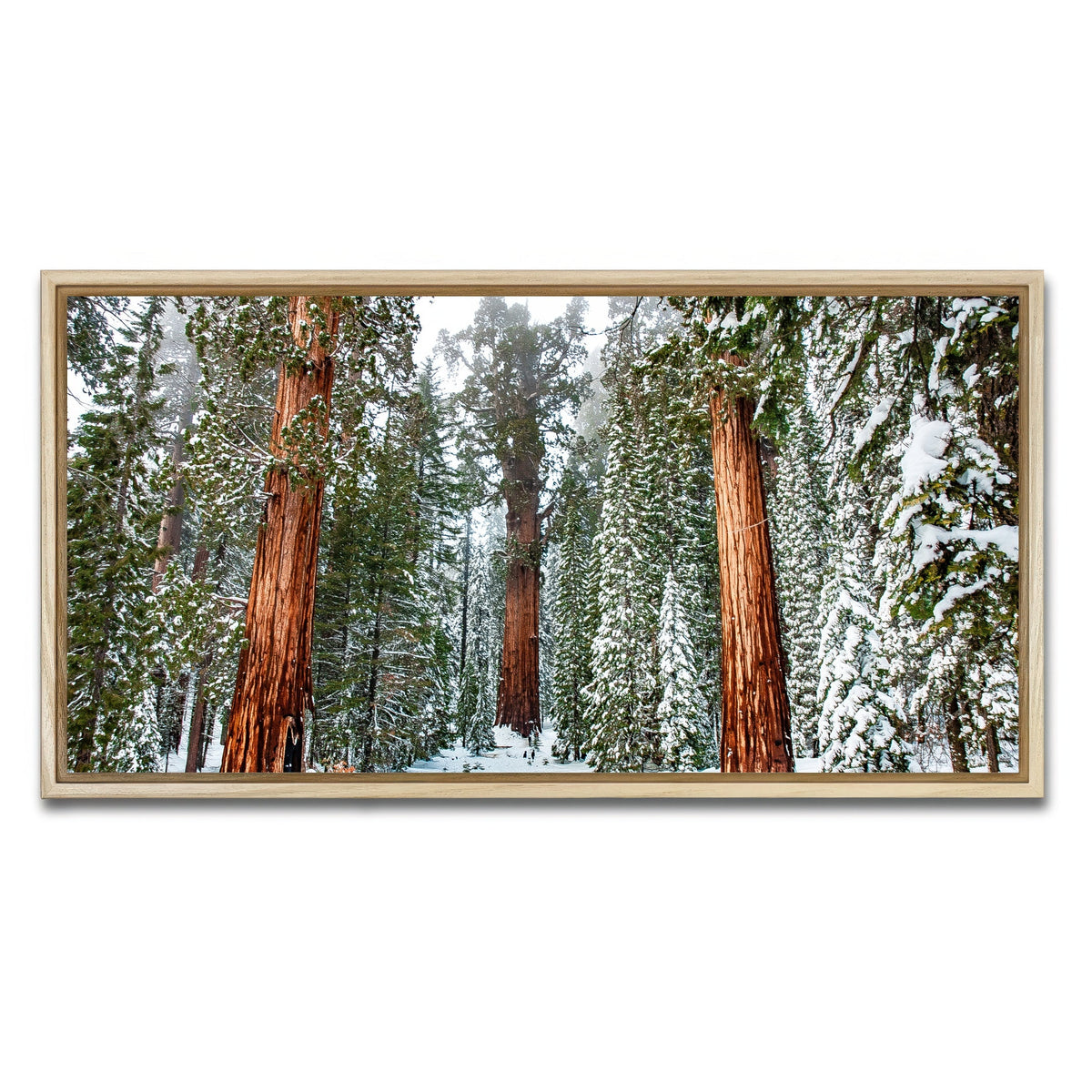 The General Wall Art