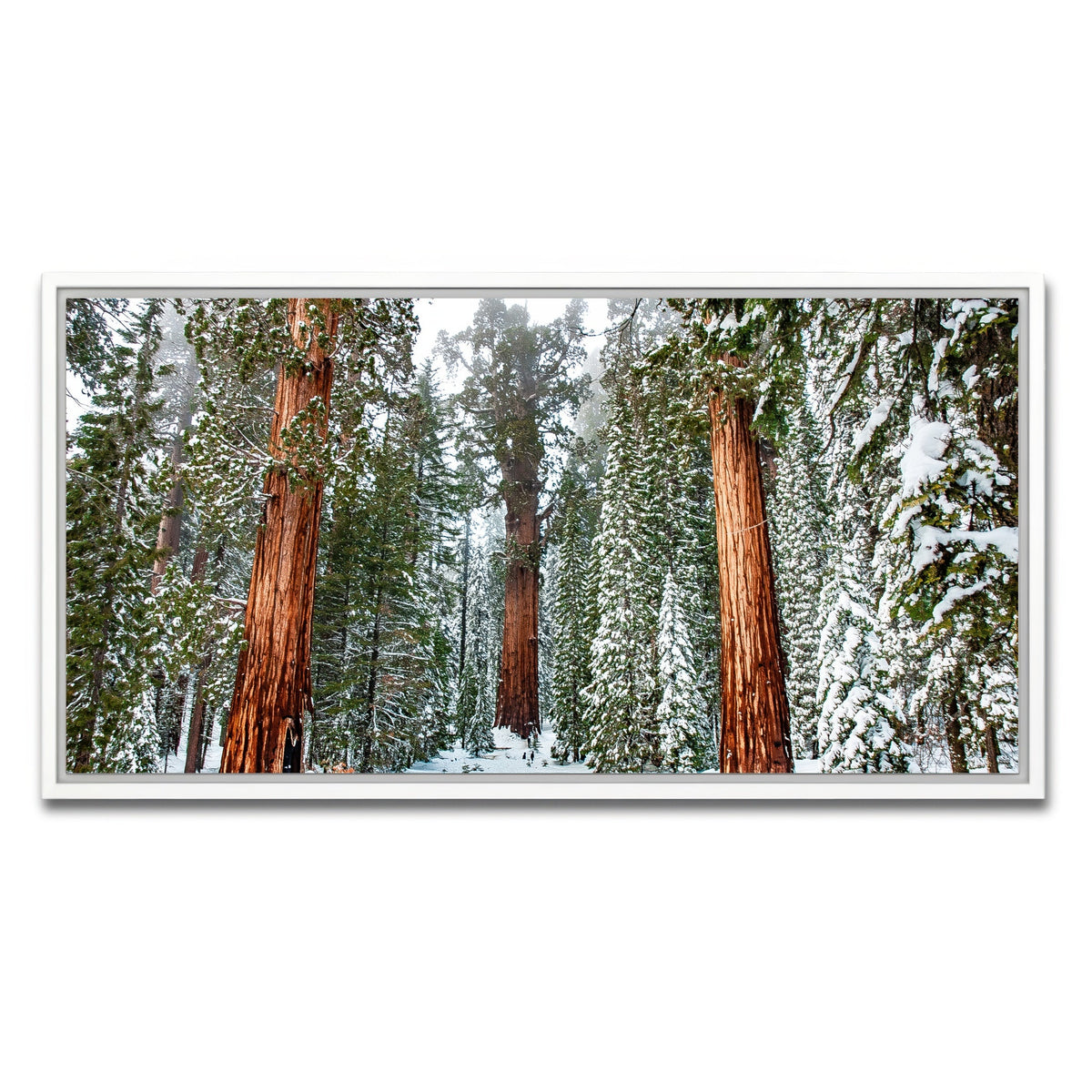 The General Wall Art