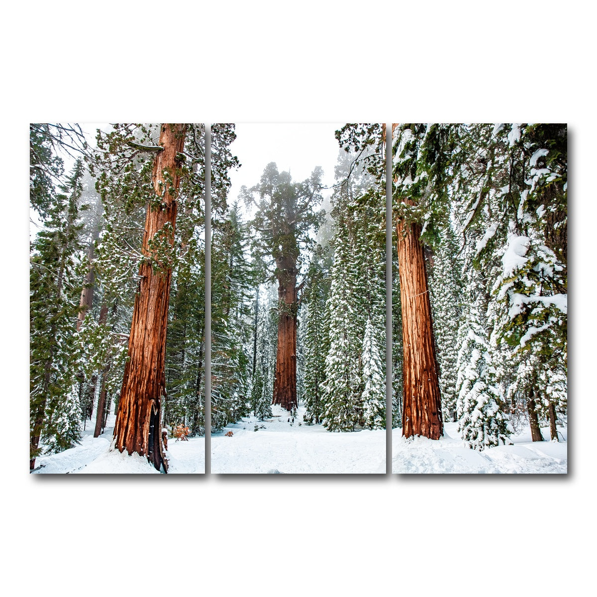 The General Wall Art