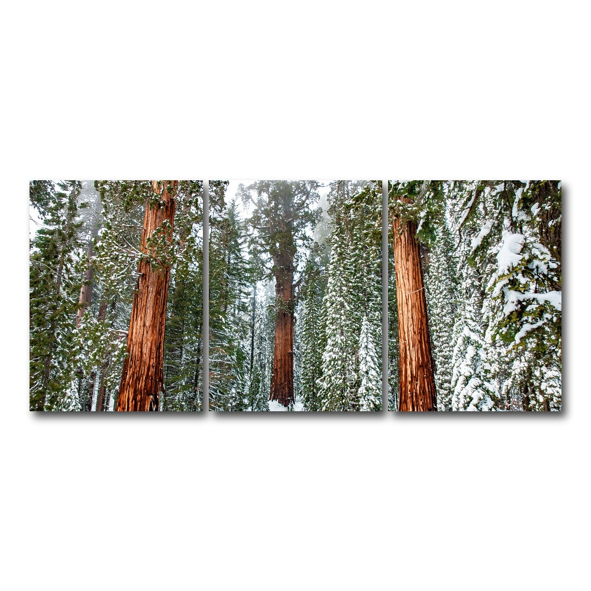 The General Wall Art