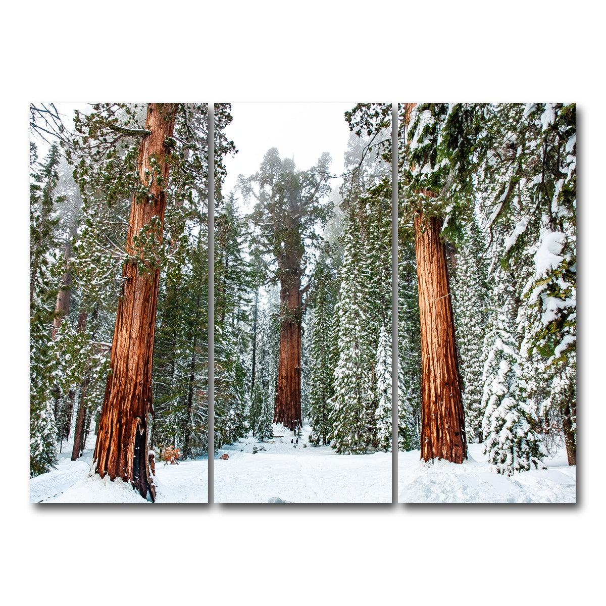 The General Wall Art