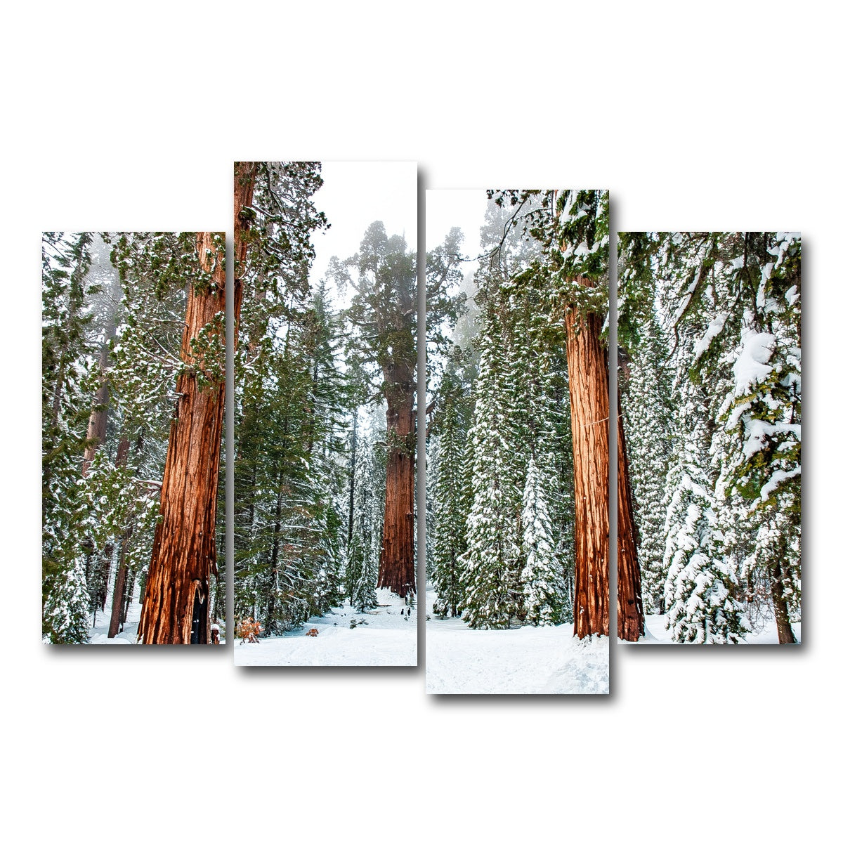 The General Wall Art