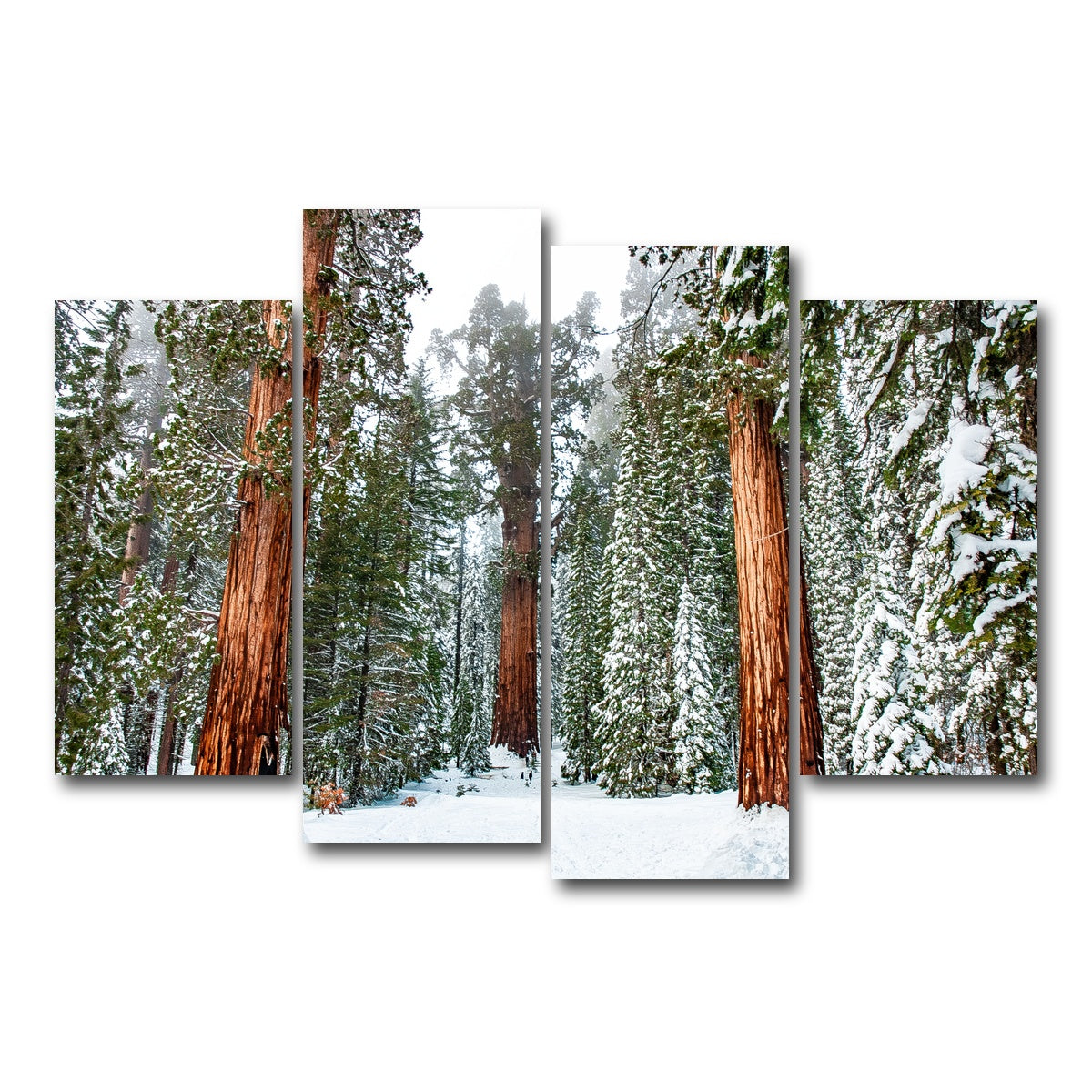 The General Wall Art