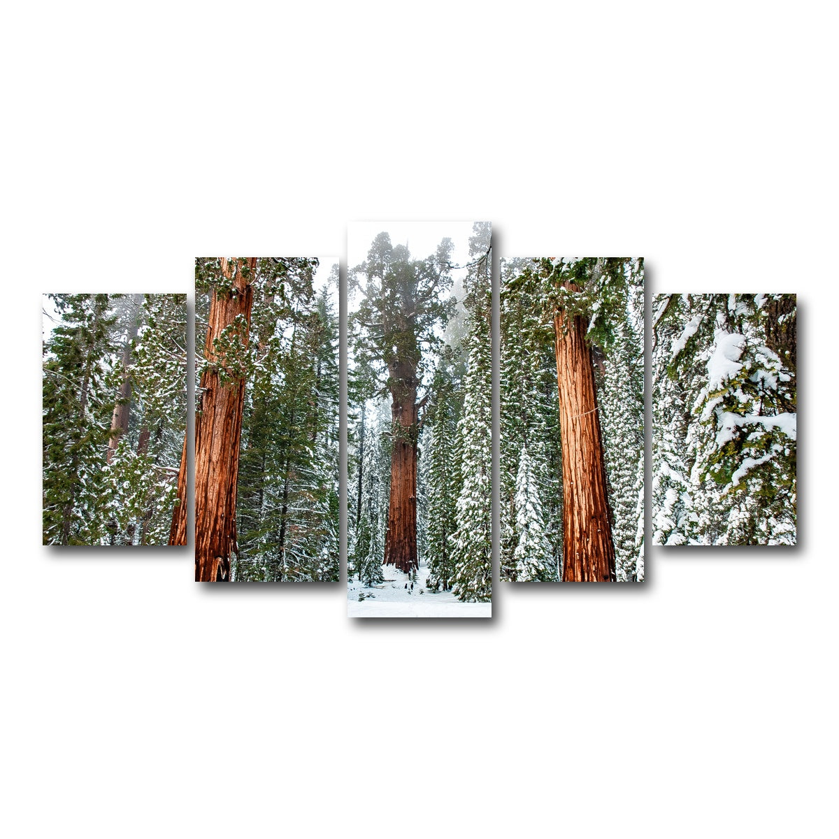 The General Wall Art