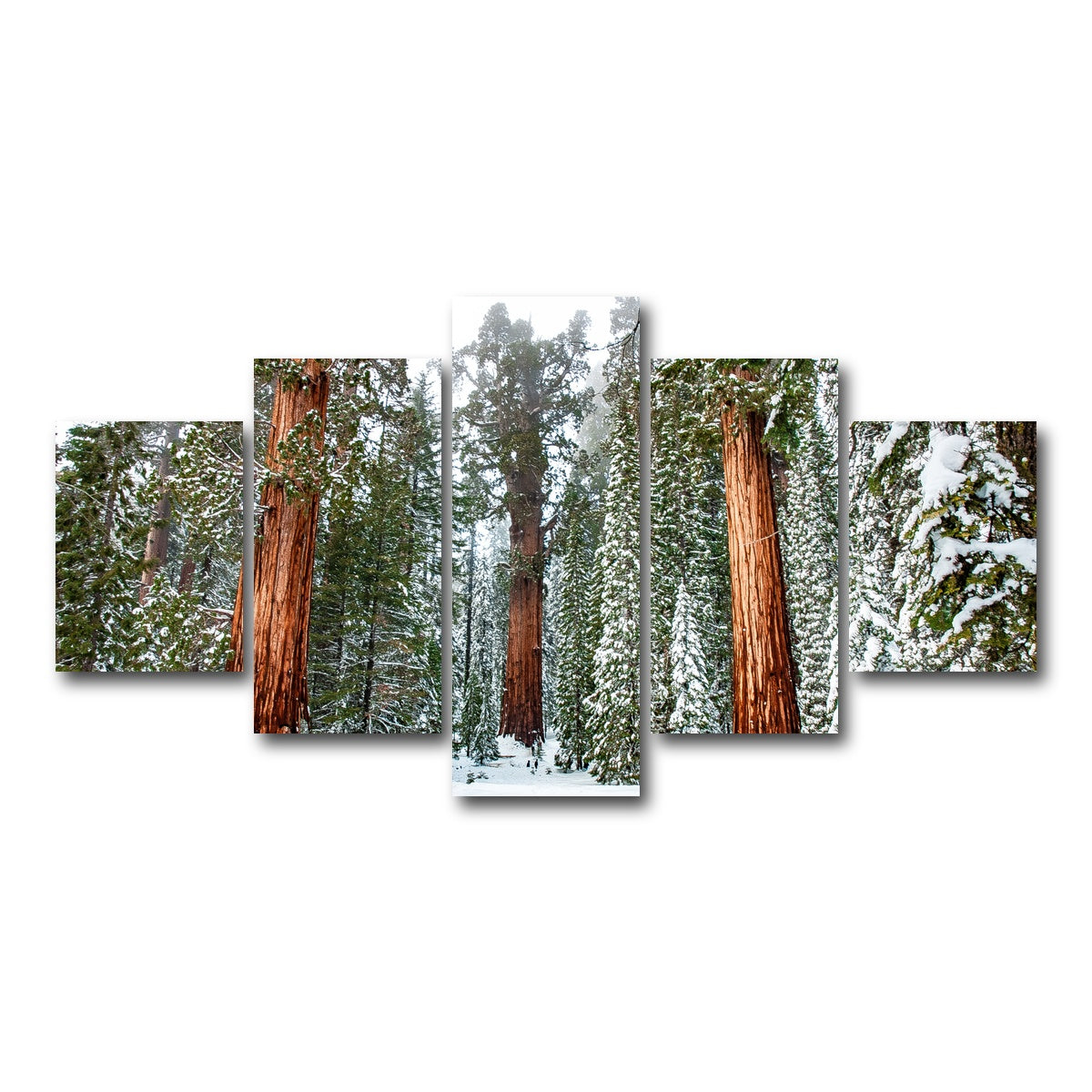 The General Wall Art