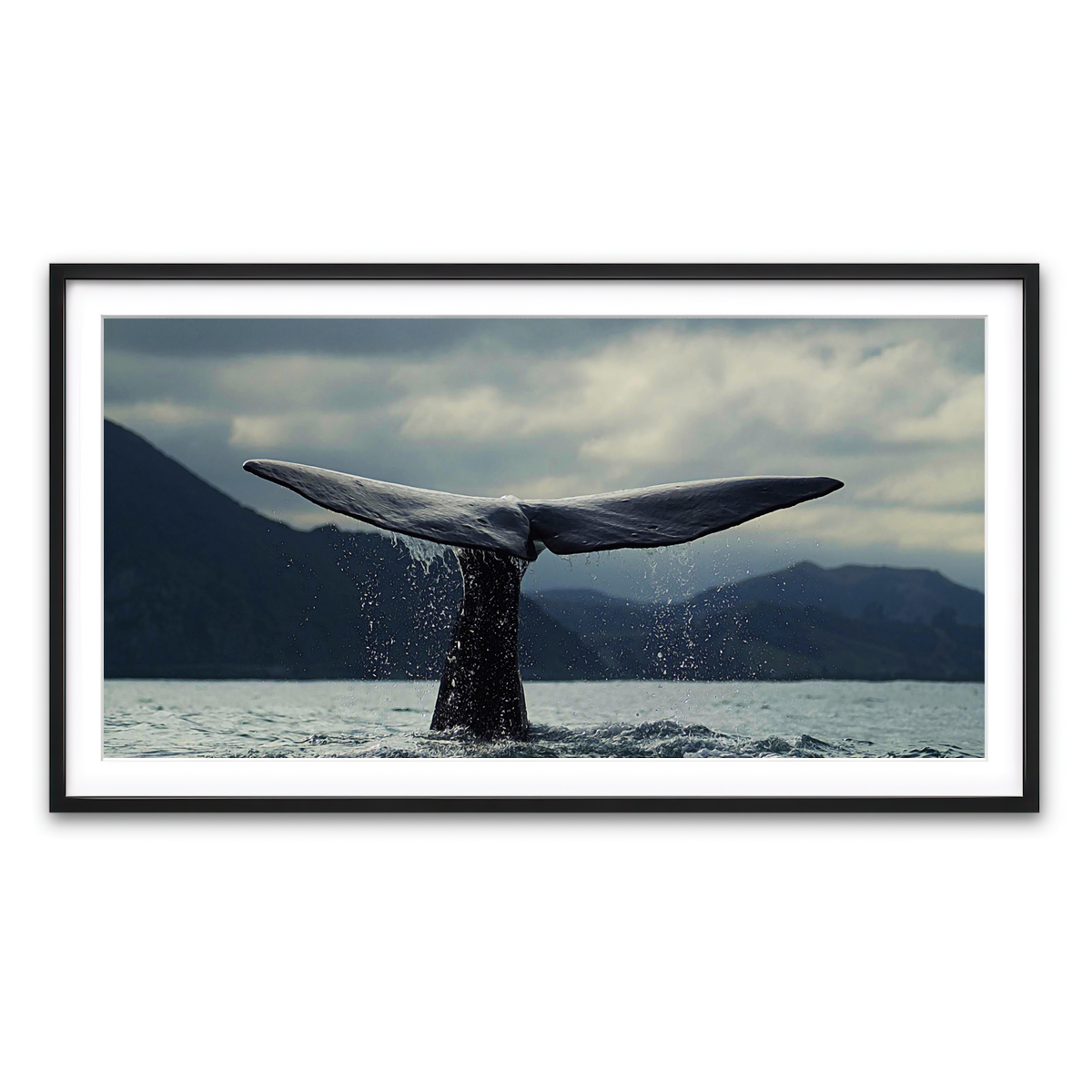 Framed Print 2x1 Black