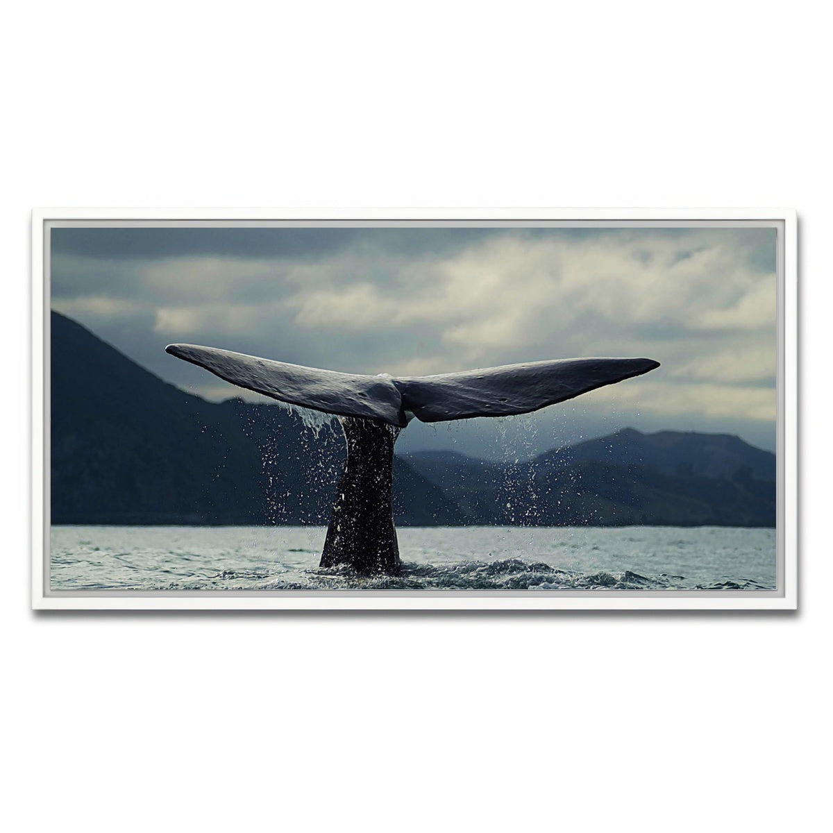 AUTO-MOCKUP WHITE | Whale Tail | 1 Piece | White Framed Canvas | group=2x1