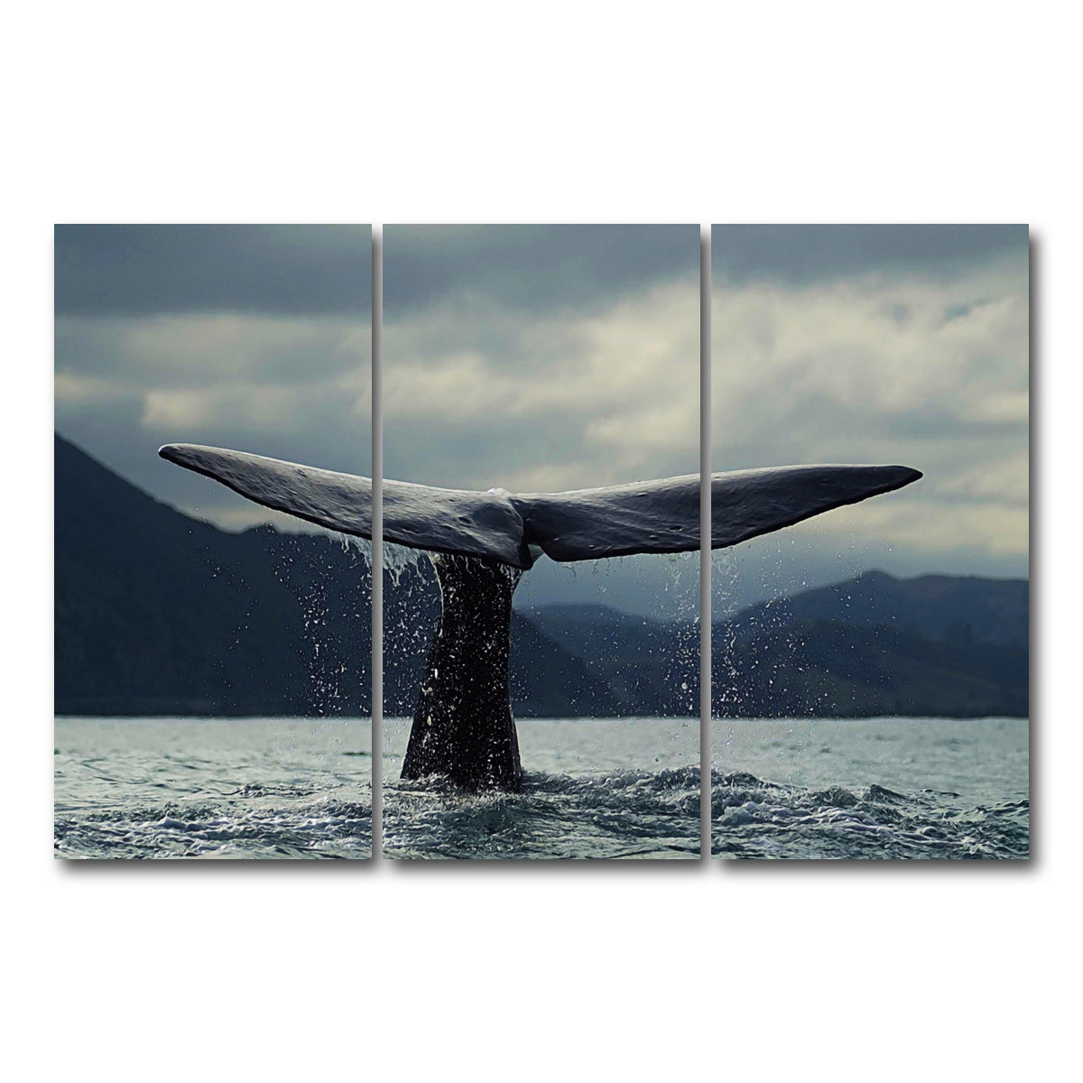 AUTO-MOCKUP WHITE | Whale Tail | 3 Piece | Gallery Wrap Canvas | group=12x24