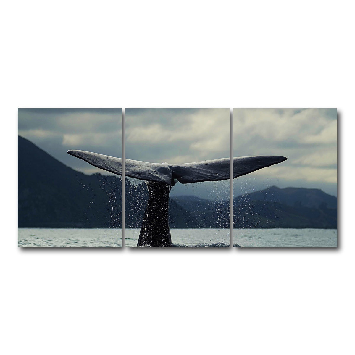 AUTO-MOCKUP WHITE | Whale Tail | 3 Piece | Gallery Wrap Canvas | group=18x24