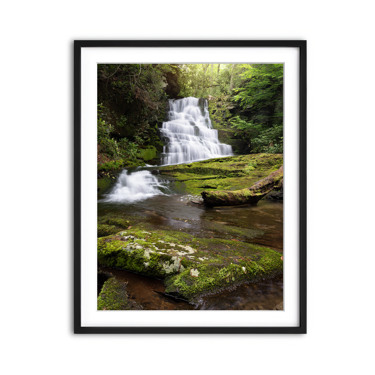 Framed Print 3x4 Black