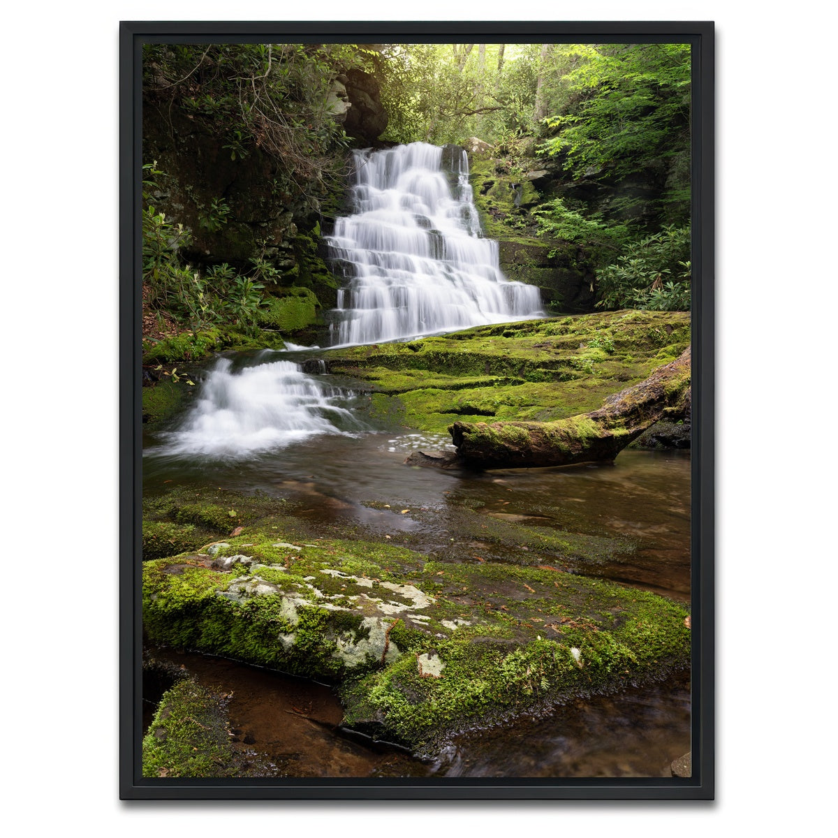 AUTO-MOCKUP WHITE | Whiplash Falls | 1 Piece | Black Framed Canvas | group=3x4