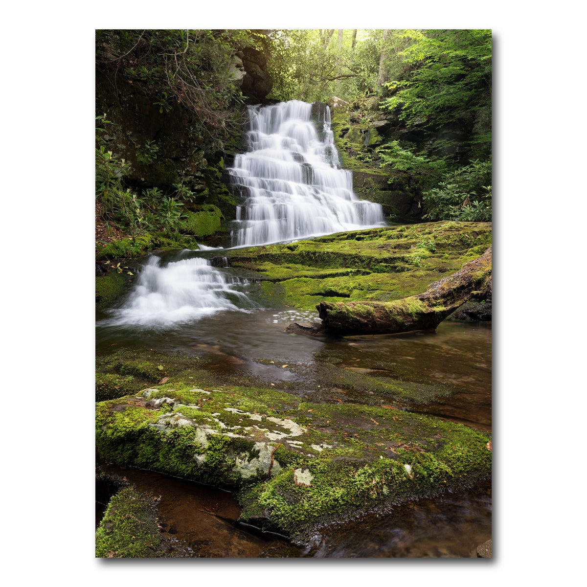 AUTO-MOCKUP WHITE | Whiplash Falls | 1 Piece | Gallery Wrap Canvas | group=3x4