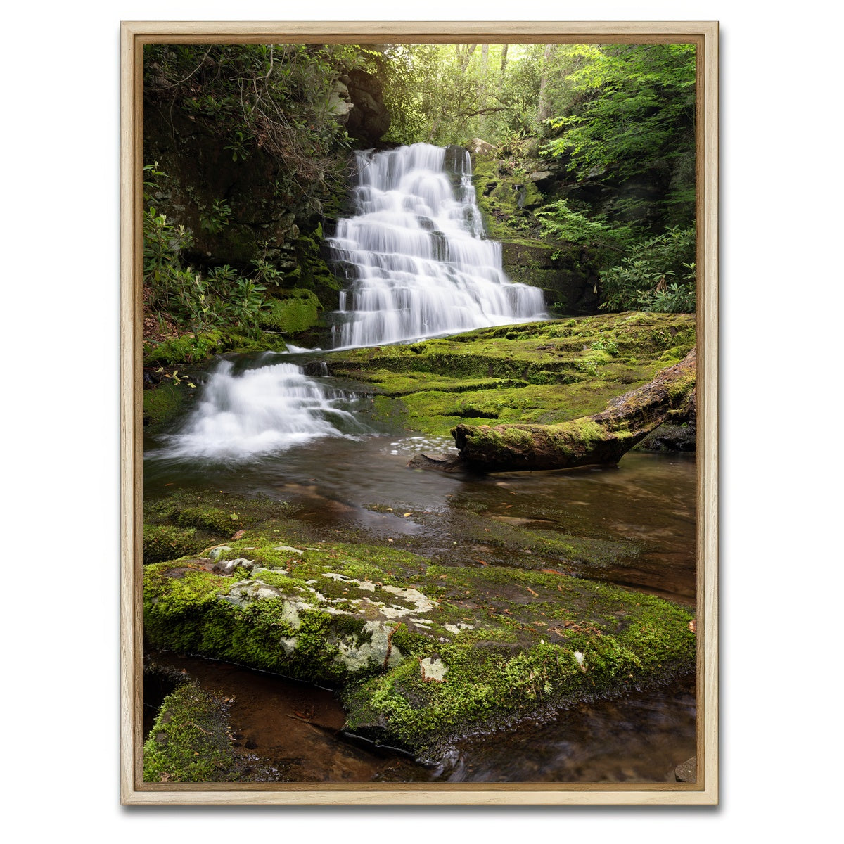 AUTO-MOCKUP WHITE | Whiplash Falls | 1 Piece | Natural Framed Canvas | group=3x4