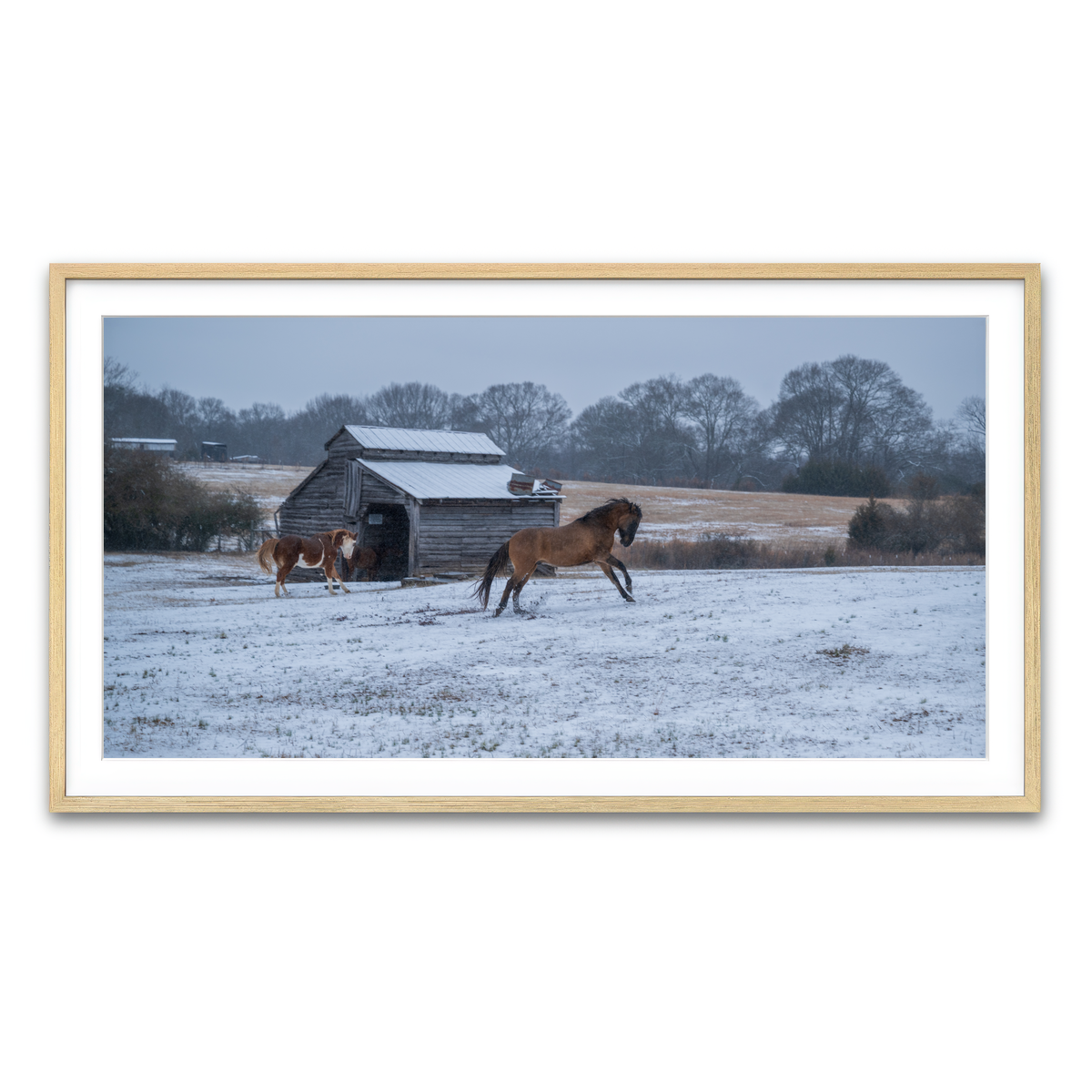AUTO-MOCKUP WHITE | Williamston South Carolina Farm Horse | 1 Piece | Natural Framed Print | group=2x1