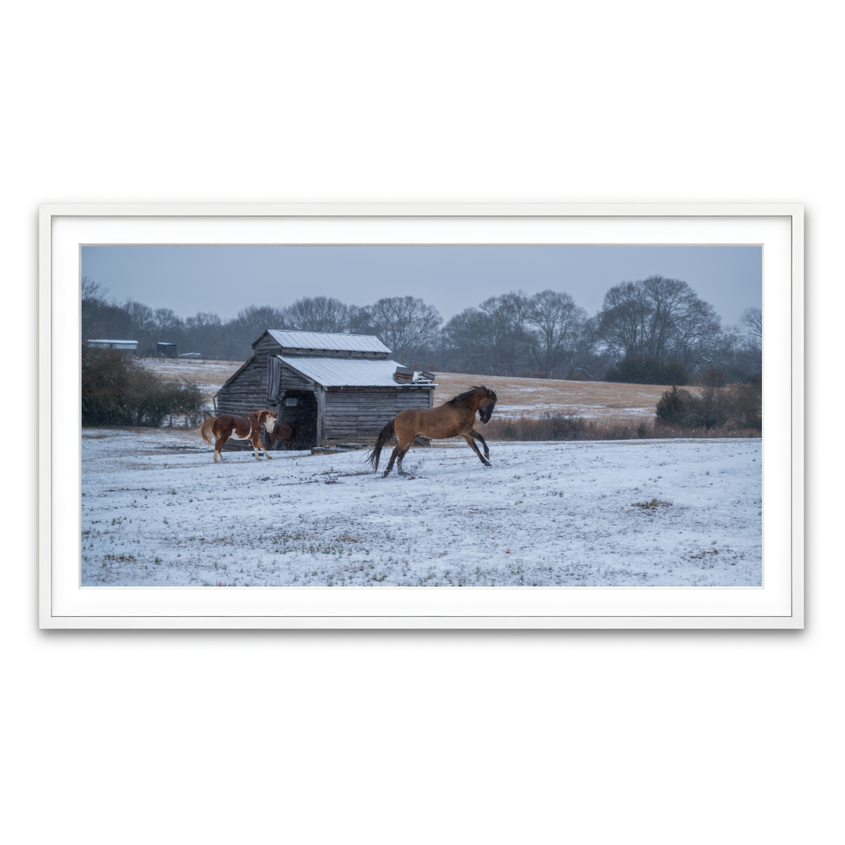 AUTO-MOCKUP WHITE | Williamston South Carolina Farm Horse | 1 Piece | White Framed Print | group=2x1