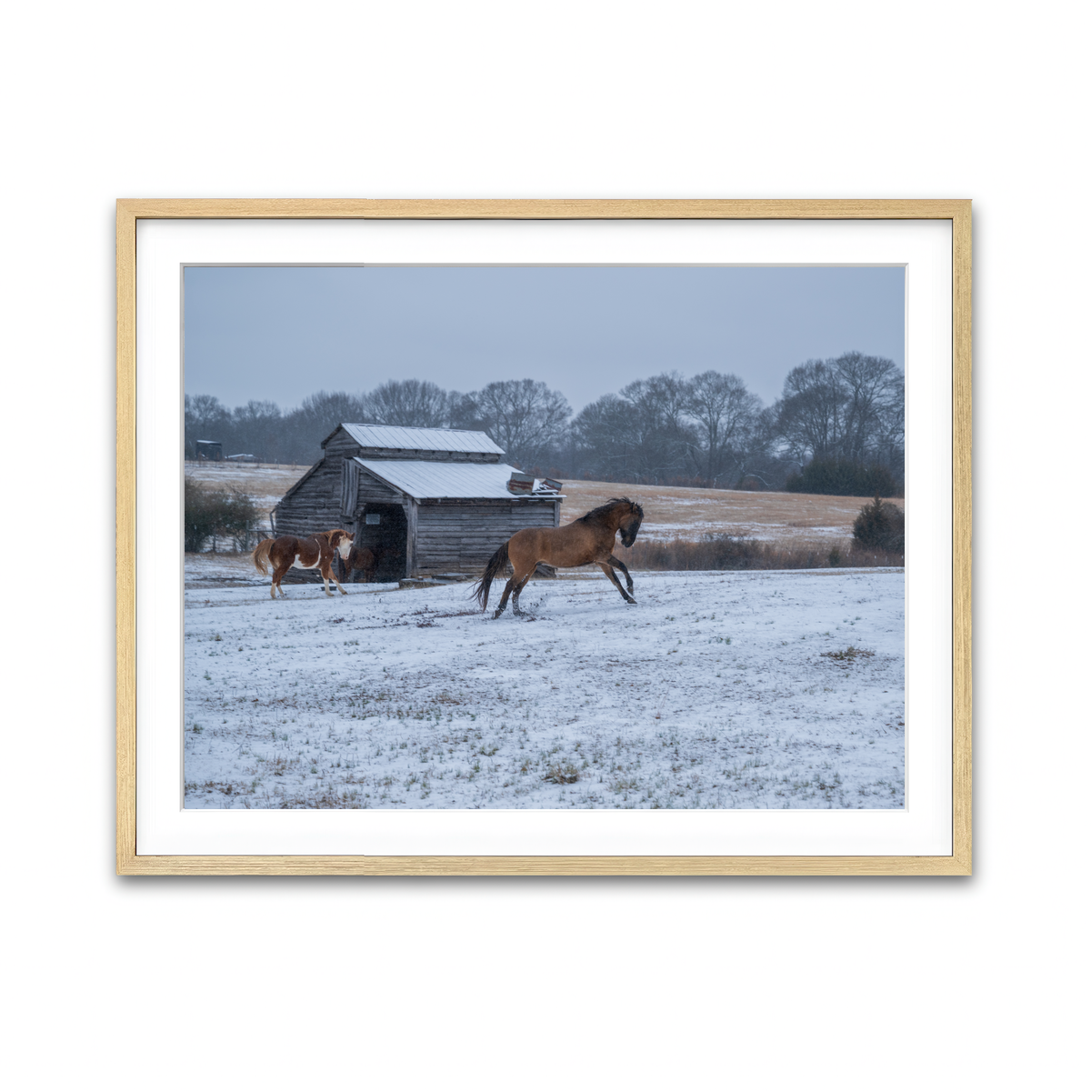 AUTO-MOCKUP WHITE | Williamston South Carolina Farm Horse | 1 Piece | Natural Framed Print | group=4x3