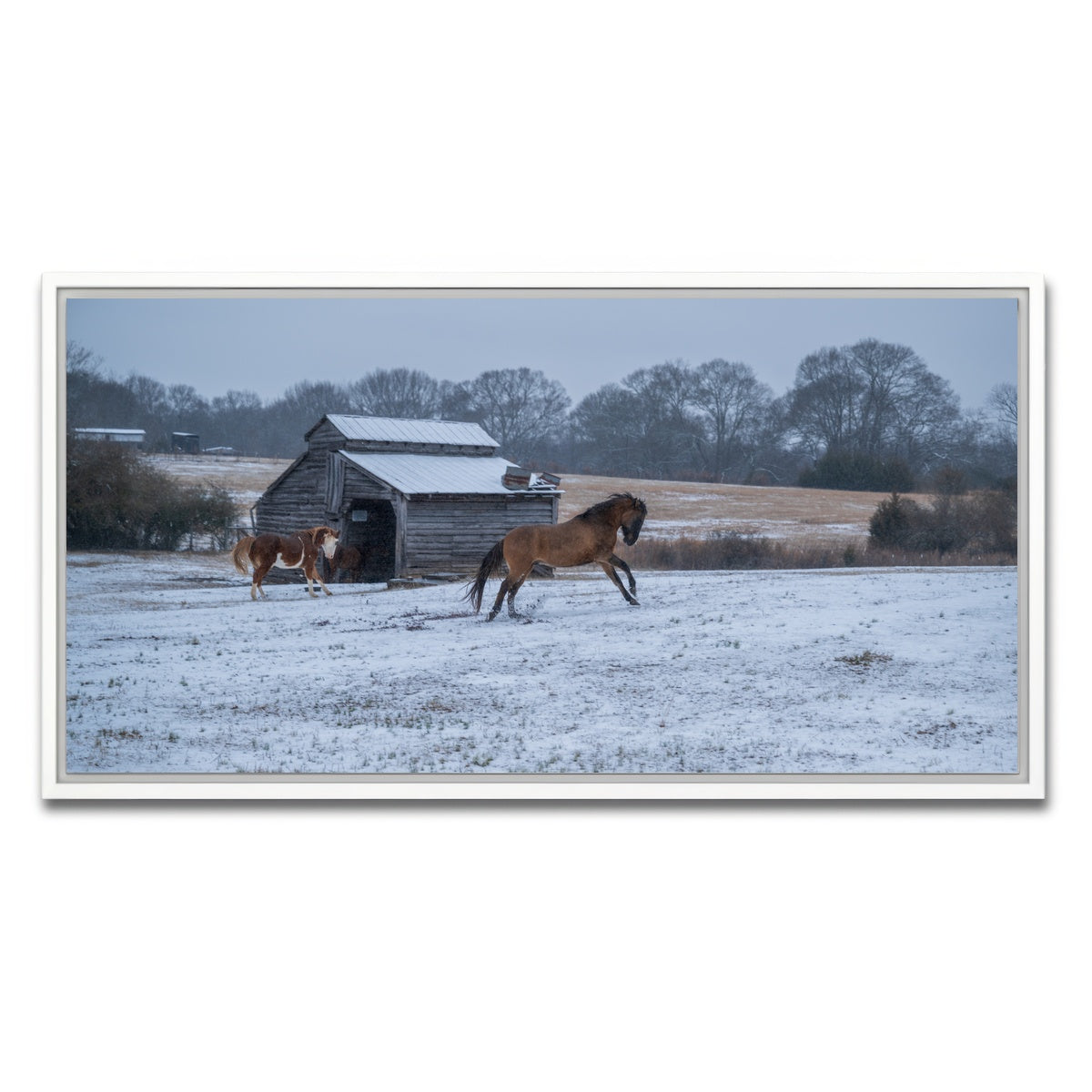 AUTO-MOCKUP WHITE | Williamston South Carolina Farm Horse | 1 Piece | White Framed Canvas | group=2x1