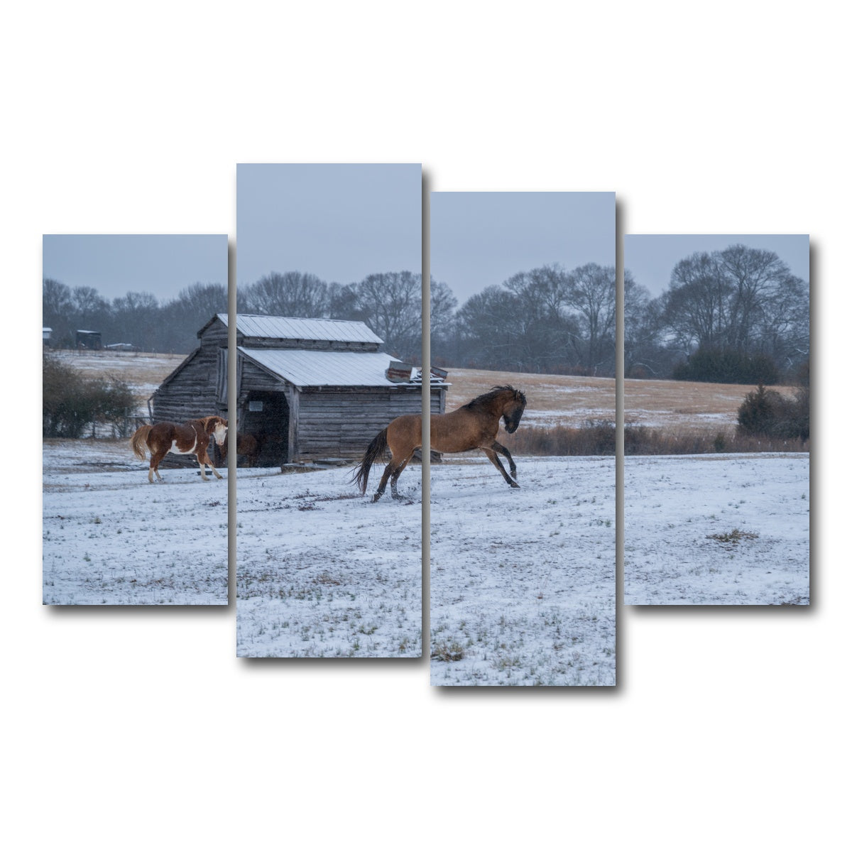 AUTO-MOCKUP WHITE | Williamston South Carolina Farm Horse | 4 Piece | Gallery Wrap Canvas | group=4_short