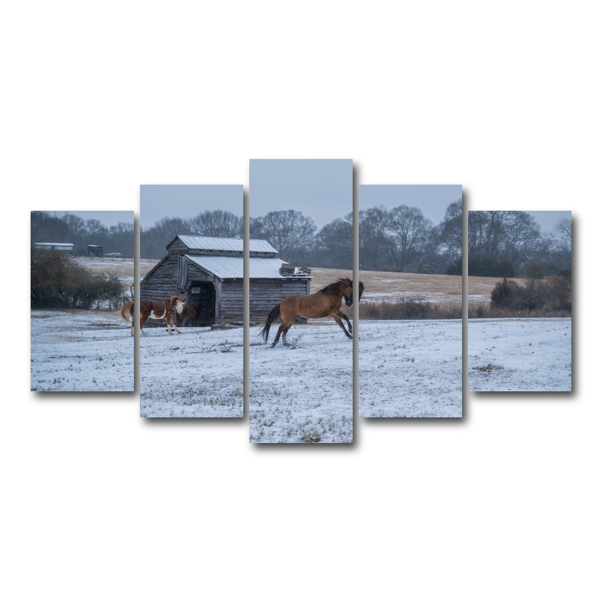 AUTO-MOCKUP WHITE | Williamston South Carolina Farm Horse | 5 Piece | Gallery Wrap Canvas | group=5_normal
