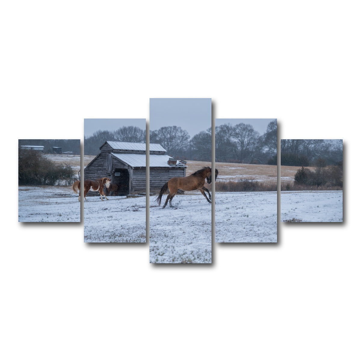 AUTO-MOCKUP WHITE | Williamston South Carolina Farm Horse | 5 Piece | Gallery Wrap Canvas | group=5_short