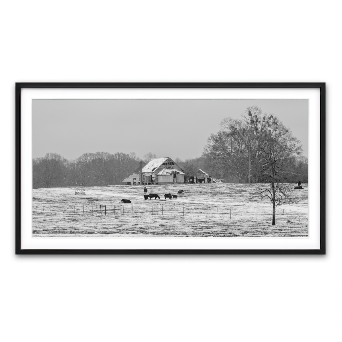 AUTO-MOCKUP WHITE | Williamston South Carolina Farm | 1 Piece | Black Framed Print | group=2x1