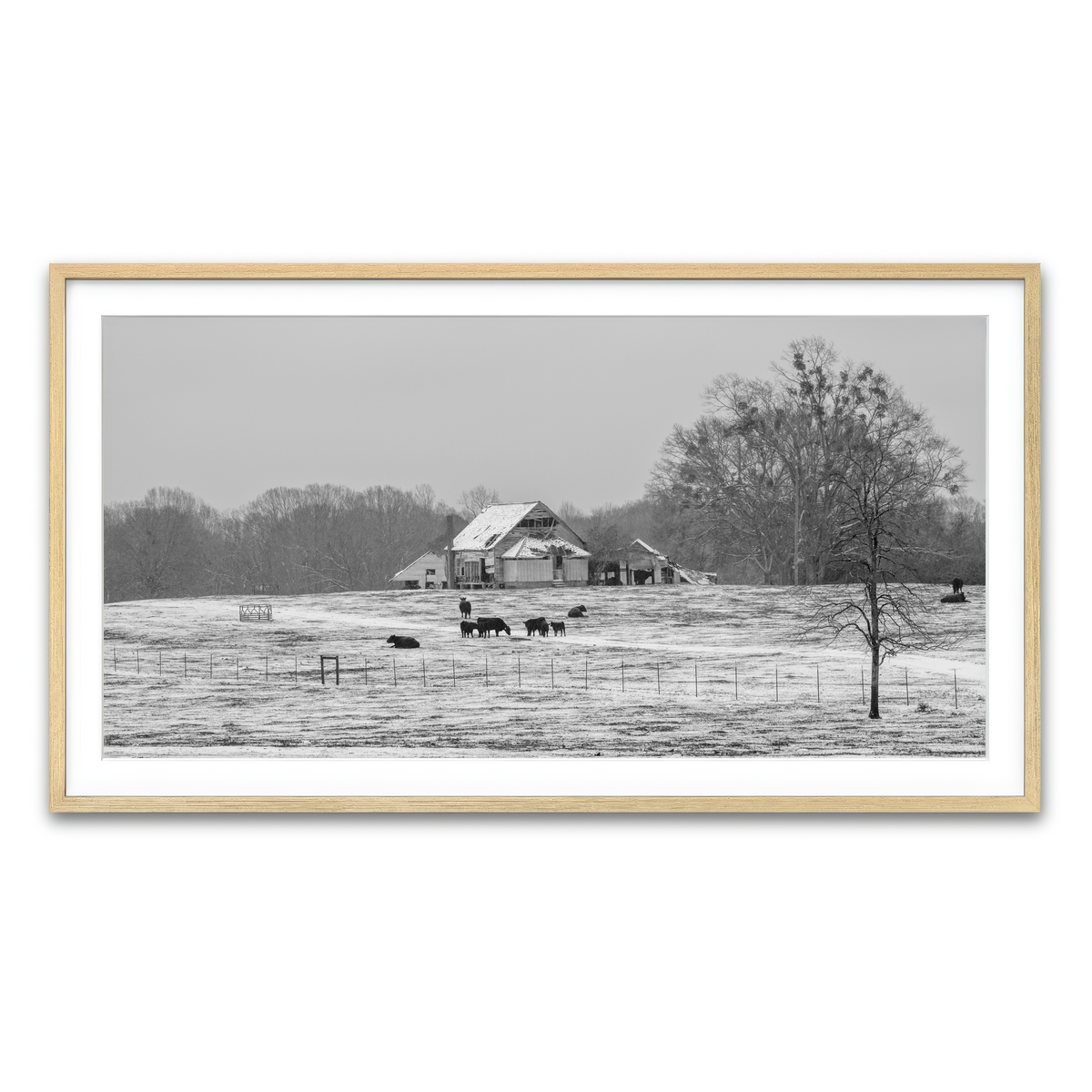 AUTO-MOCKUP WHITE | Williamston South Carolina Farm | 1 Piece | Natural Framed Print | group=2x1