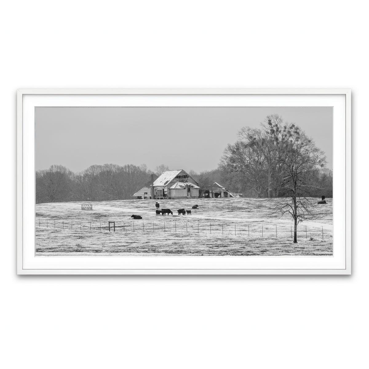 AUTO-MOCKUP WHITE | Williamston South Carolina Farm | 1 Piece | White Framed Print | group=2x1