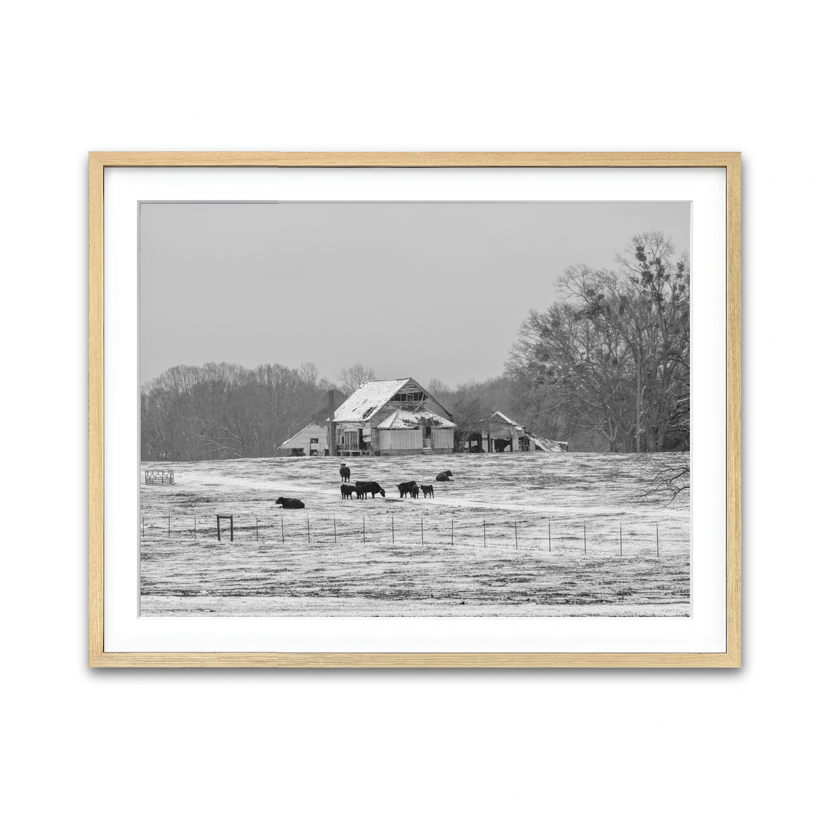 AUTO-MOCKUP WHITE | Williamston South Carolina Farm | 1 Piece | Natural Framed Print | group=4x3