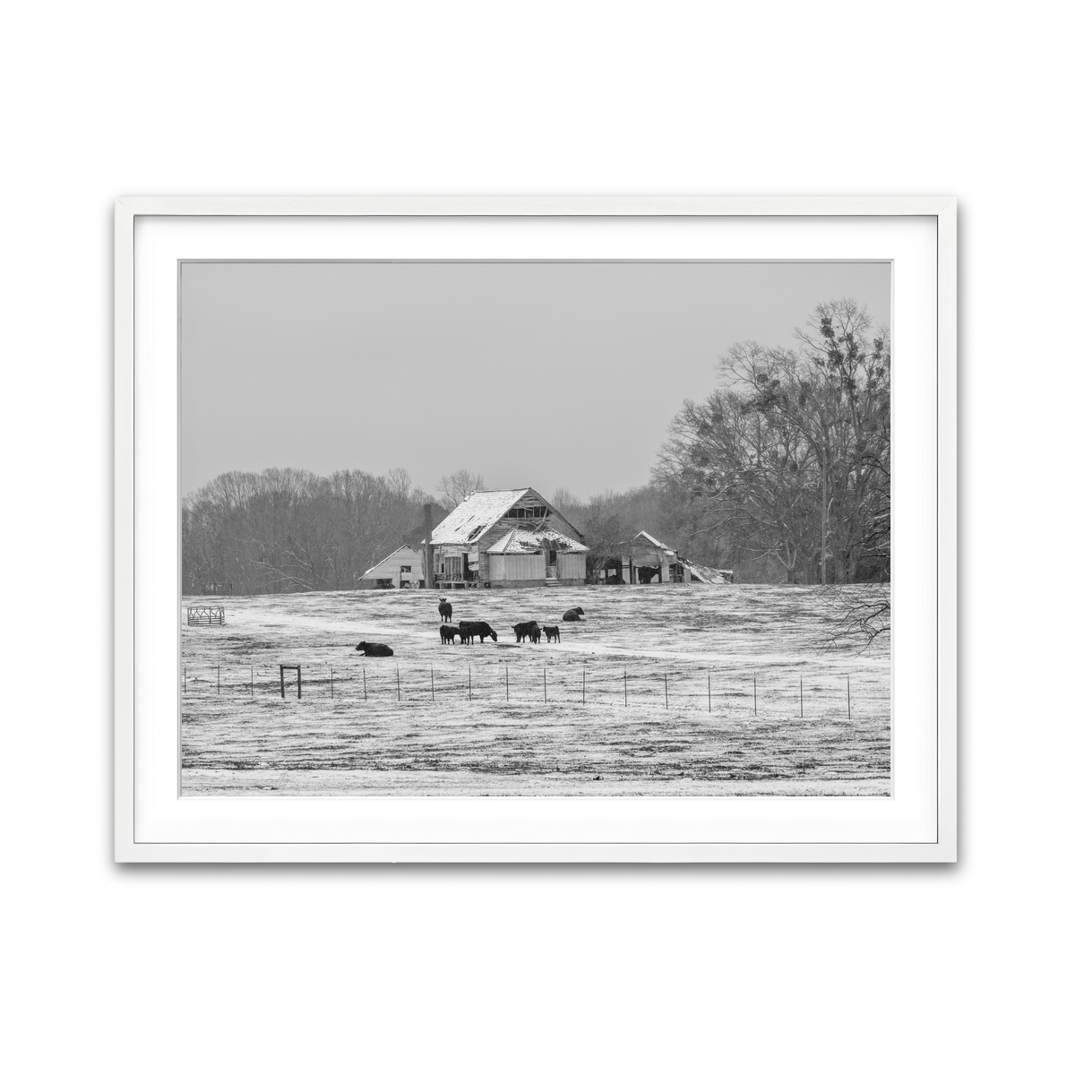 AUTO-MOCKUP WHITE | Williamston South Carolina Farm | 1 Piece | White Framed Print | group=4x3