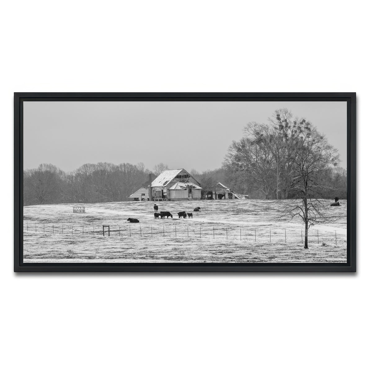 AUTO-MOCKUP WHITE | Williamston South Carolina Farm | 1 Piece | Black Framed Canvas | group=2x1