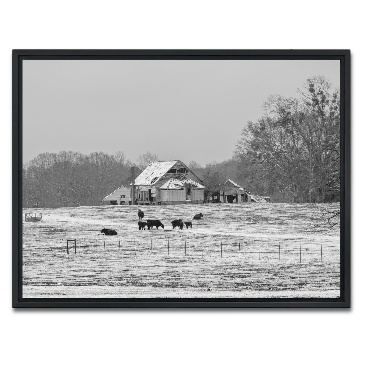 AUTO-MOCKUP WHITE | Williamston South Carolina Farm | 1 Piece | Black Framed Canvas | group=4x3