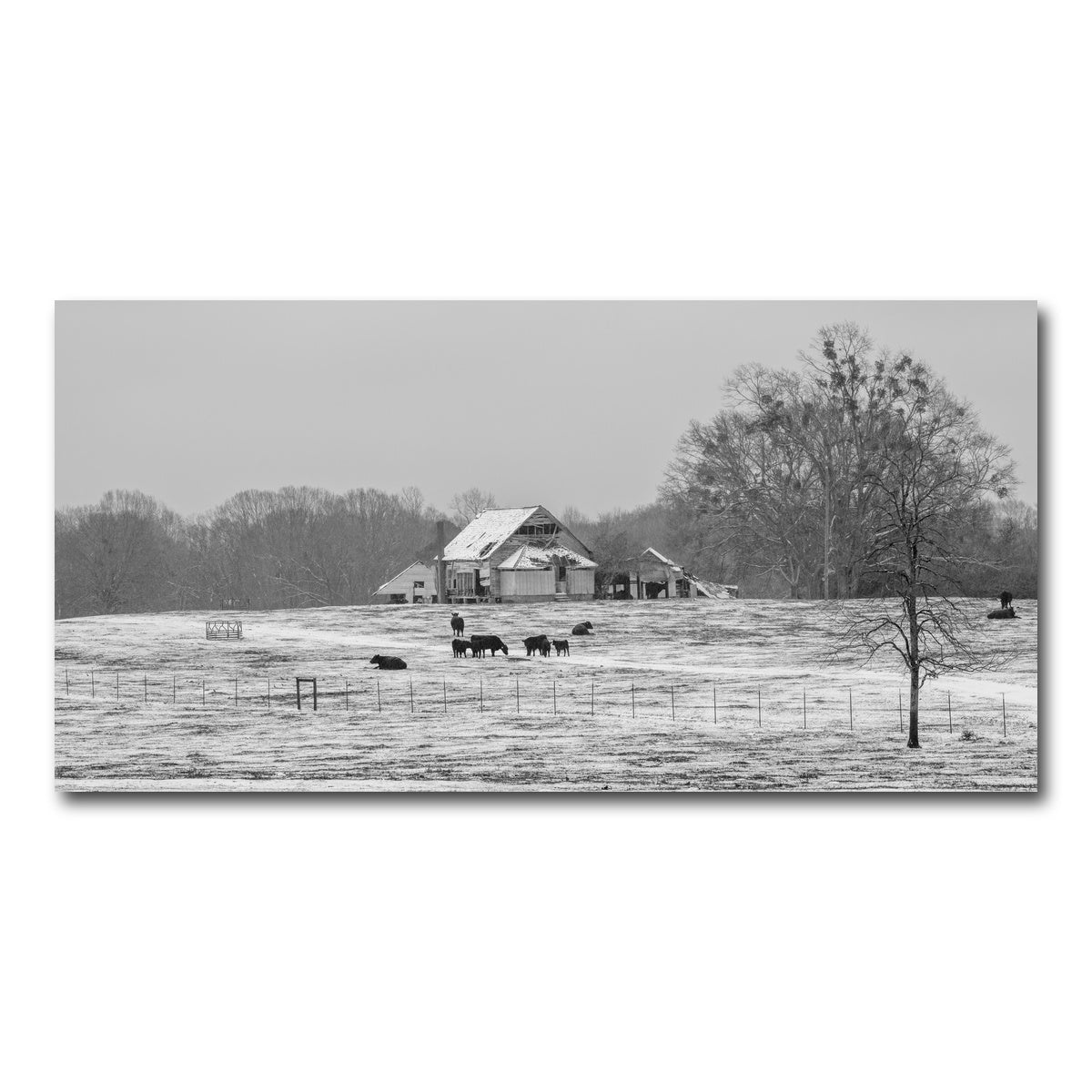 AUTO-MOCKUP WHITE | Williamston South Carolina Farm | 1 Piece | Gallery Wrap Canvas | group=2x1