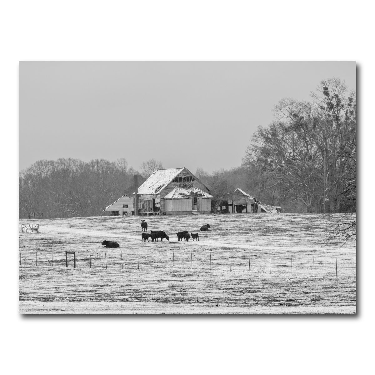 AUTO-MOCKUP WHITE | Williamston South Carolina Farm | 1 Piece | Gallery Wrap Canvas | group=4x3