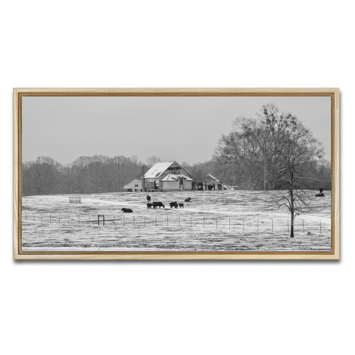 AUTO-MOCKUP WHITE | Williamston South Carolina Farm | 1 Piece | Natural Framed Canvas | group=2x1