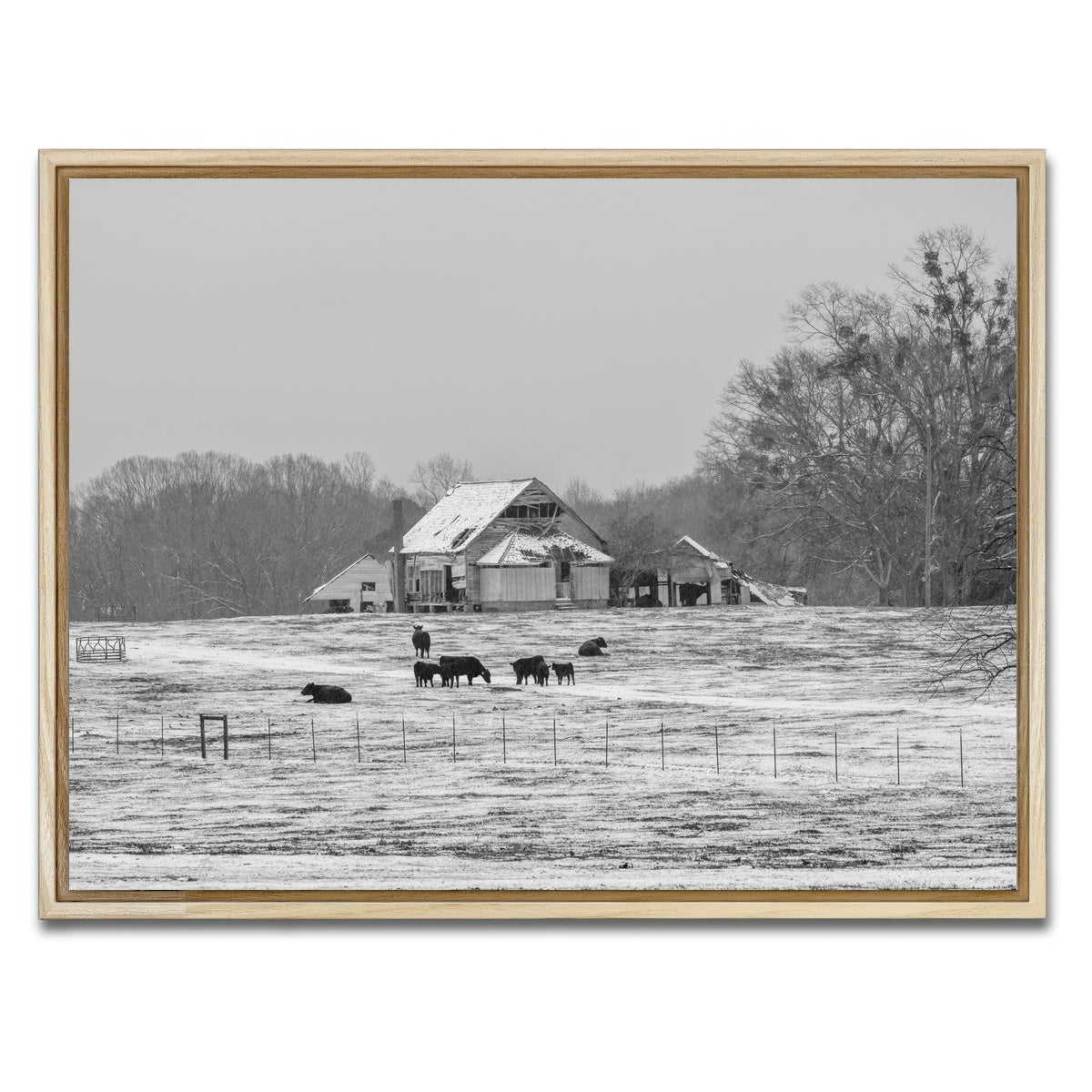 AUTO-MOCKUP WHITE | Williamston South Carolina Farm | 1 Piece | Natural Framed Canvas | group=4x3