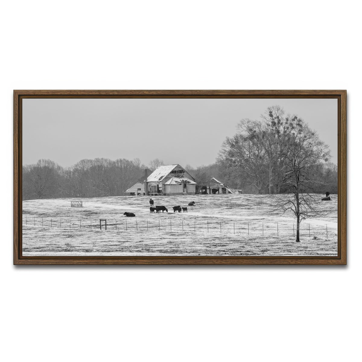 AUTO-MOCKUP WHITE | Williamston South Carolina Farm | 1 Piece | Walnut Framed Canvas | group=2x1