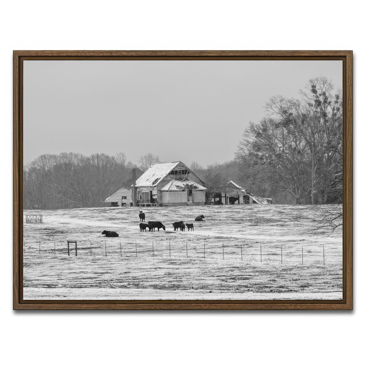 AUTO-MOCKUP WHITE | Williamston South Carolina Farm | 1 Piece | Walnut Framed Canvas | group=4x3