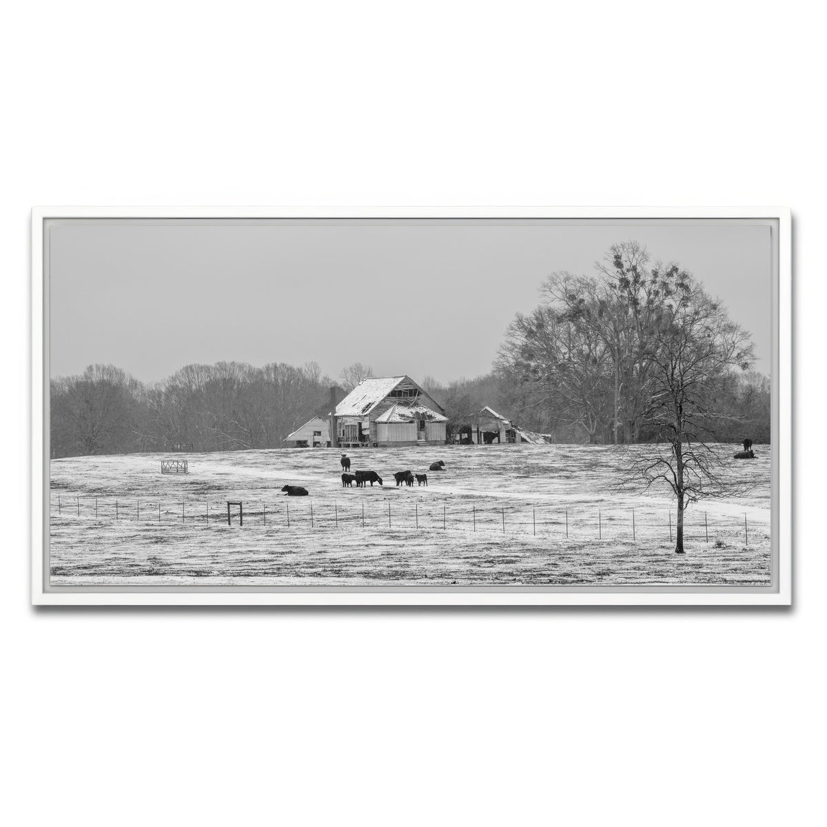 AUTO-MOCKUP WHITE | Williamston South Carolina Farm | 1 Piece | White Framed Canvas | group=2x1