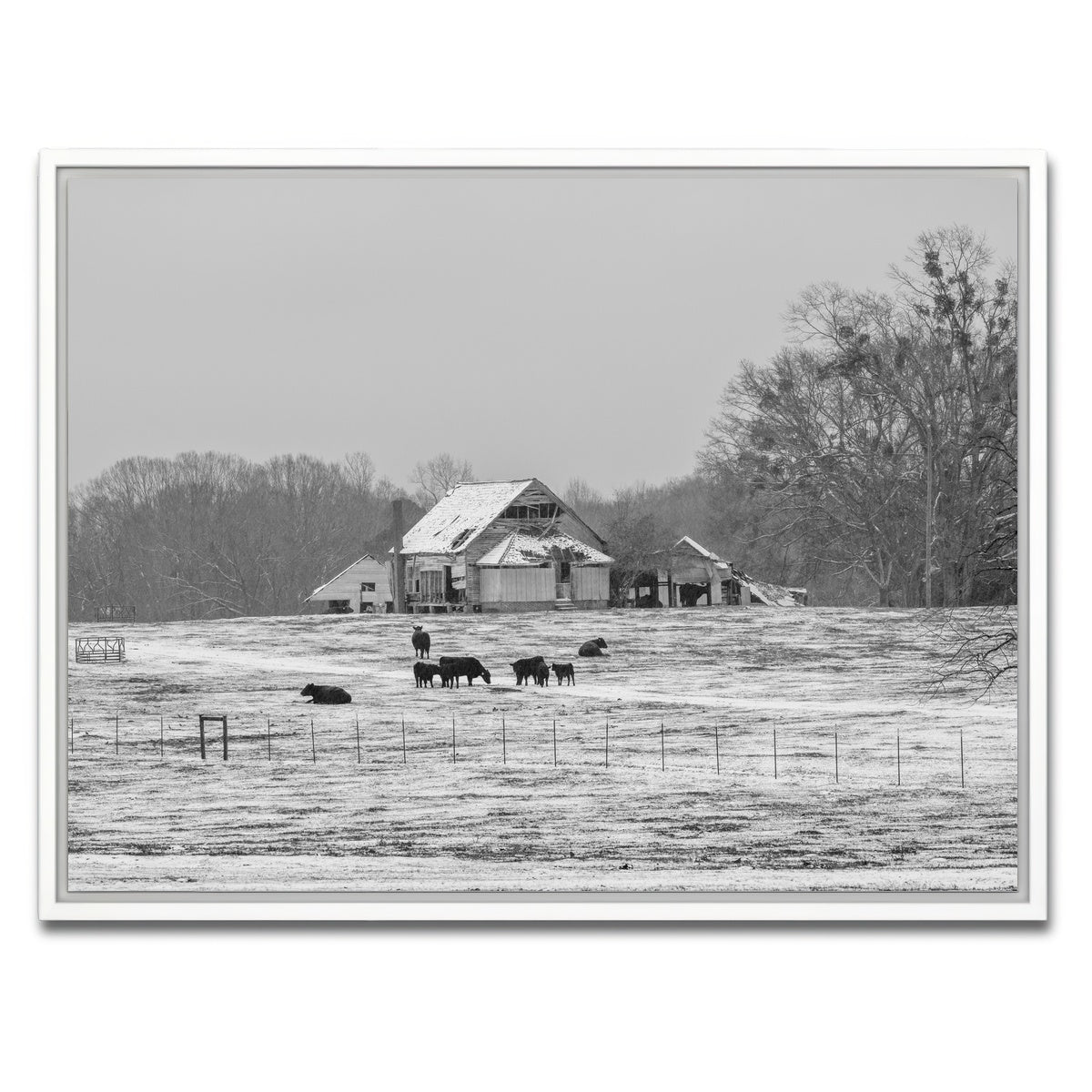 AUTO-MOCKUP WHITE | Williamston South Carolina Farm | 1 Piece | White Framed Canvas | group=4x3