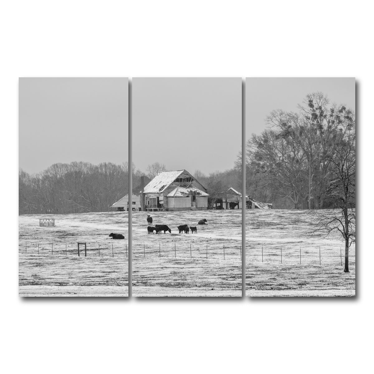AUTO-MOCKUP WHITE | Williamston South Carolina Farm | 3 Piece | Gallery Wrap Canvas | group=12x24