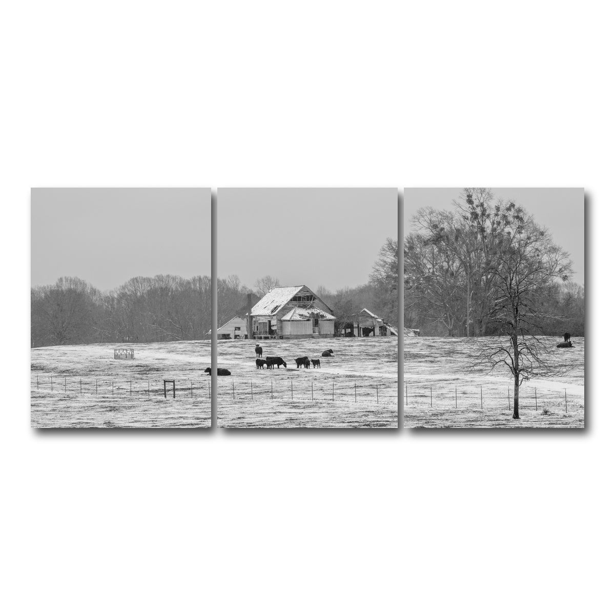 AUTO-MOCKUP WHITE | Williamston South Carolina Farm | 3 Piece | Gallery Wrap Canvas | group=18x24
