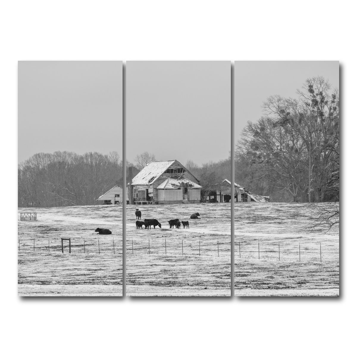 AUTO-MOCKUP WHITE | Williamston South Carolina Farm | 3 Piece | Gallery Wrap Canvas | group=8x18