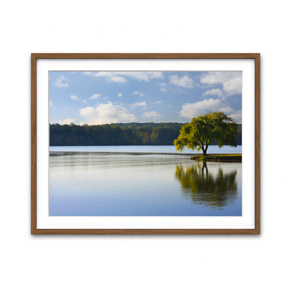 Framed Print 4x3 Walnut