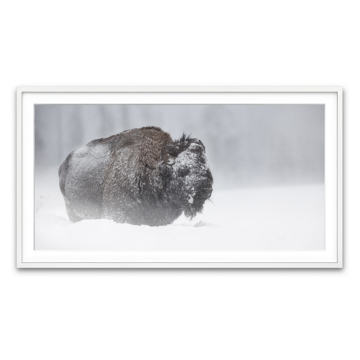 Framed Print 2x1 White