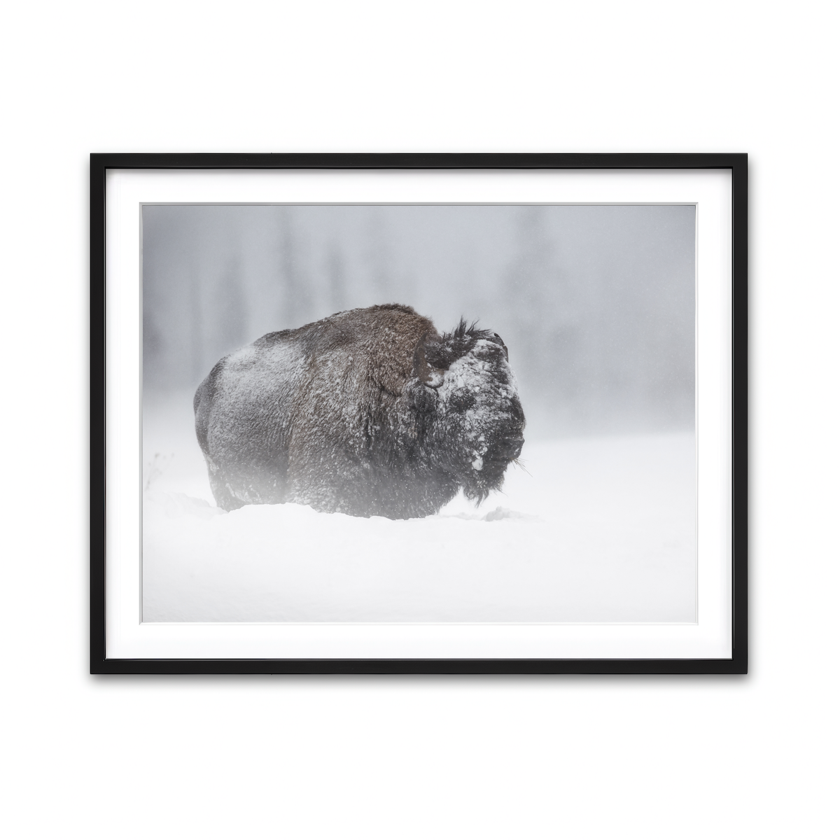 Framed Print 4x3 Black