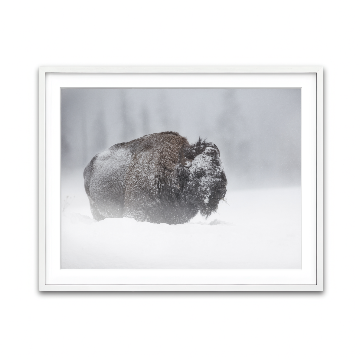 Framed Print 4x3 White