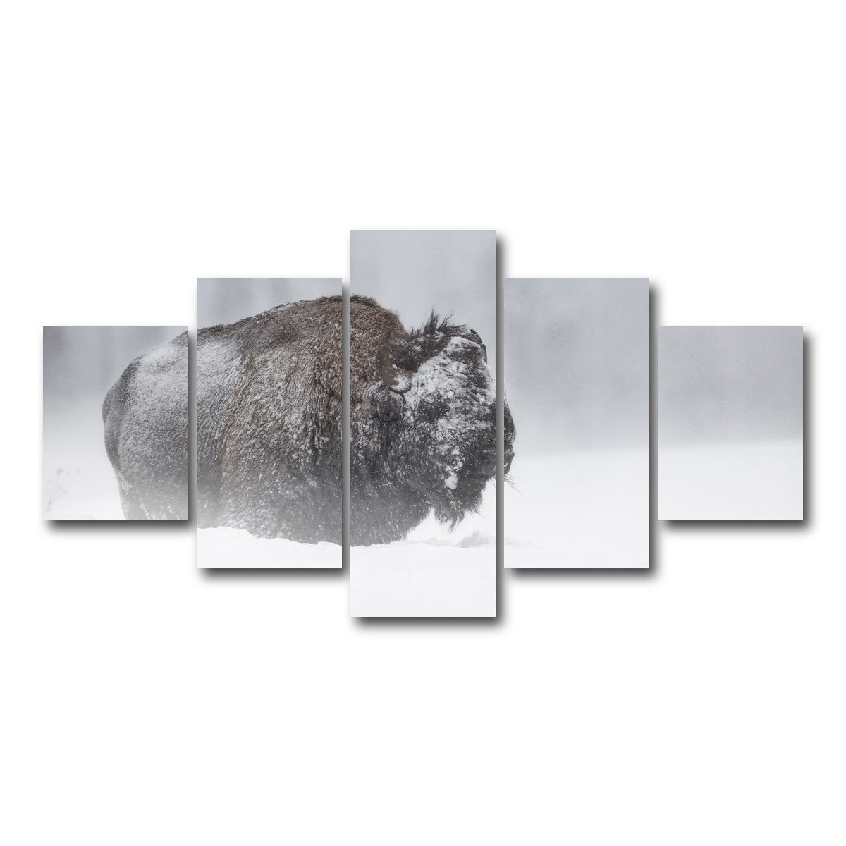 AUTO-MOCKUP WHITE | Winter Bison - Yellowstone | 5 Piece | Gallery Wrap Canvas | group=5_short