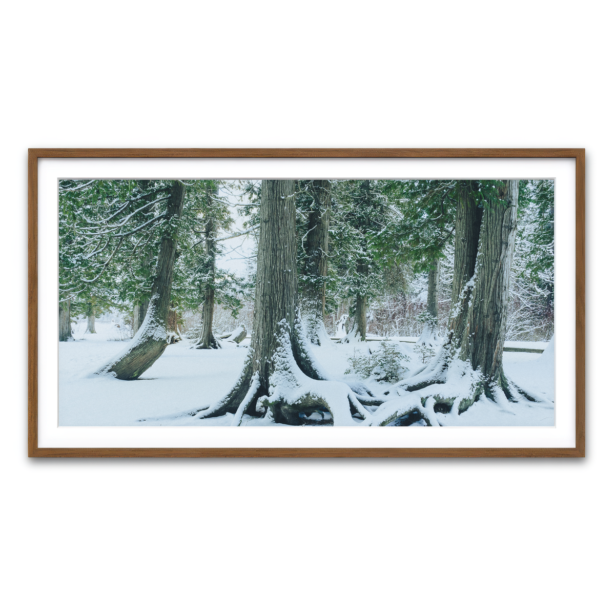 Framed Print 2x1 Walnut