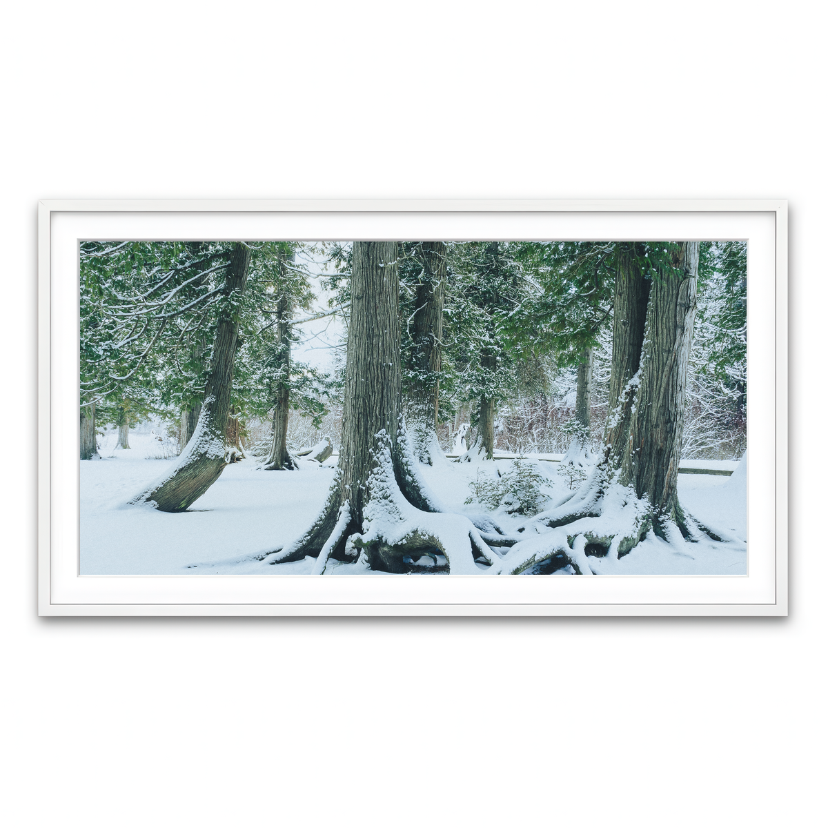 Framed Print 2x1 White