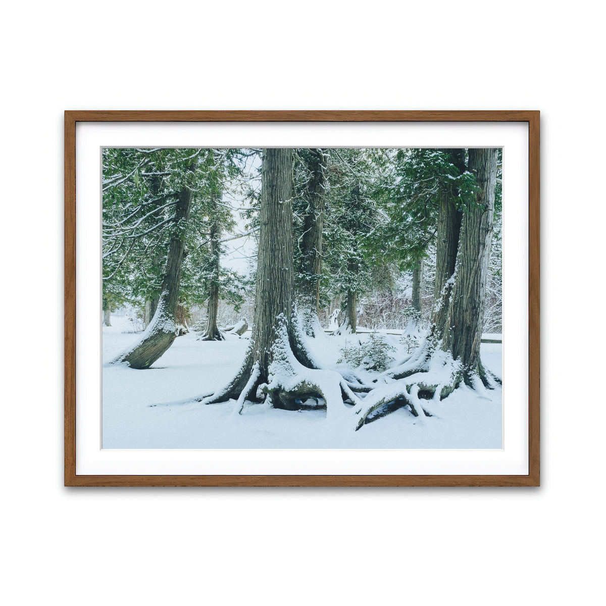 Framed Print 4x3 Walnut